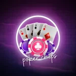 최신 정보와 다양한 활용법을 한눈에 확인할 수 있는 사이트 모음과 이용 가이드에 대한 종합 안내